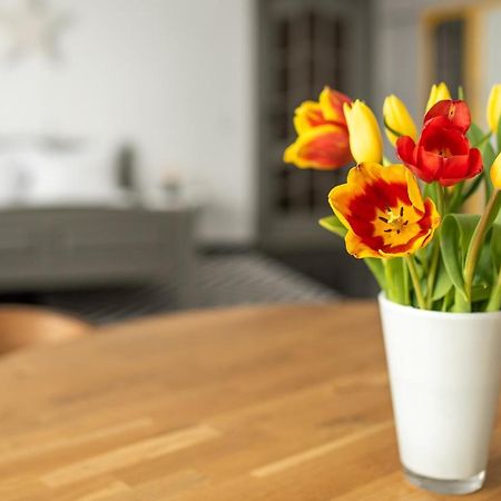 Spacious Ultracentral Apartment クルージュ＝ナポカ エクステリア 写真