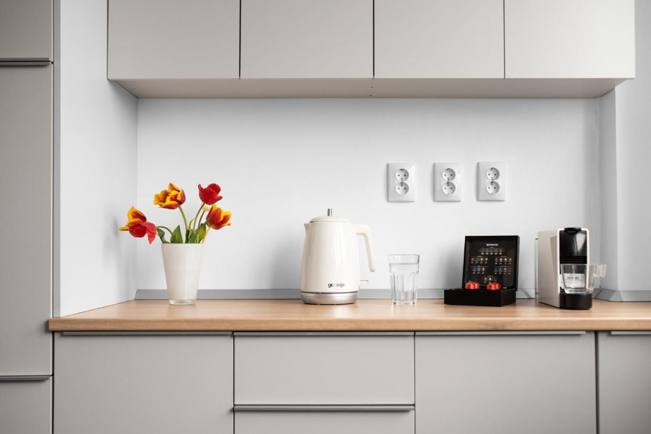 Spacious Ultracentral Apartment クルージュ＝ナポカ エクステリア 写真